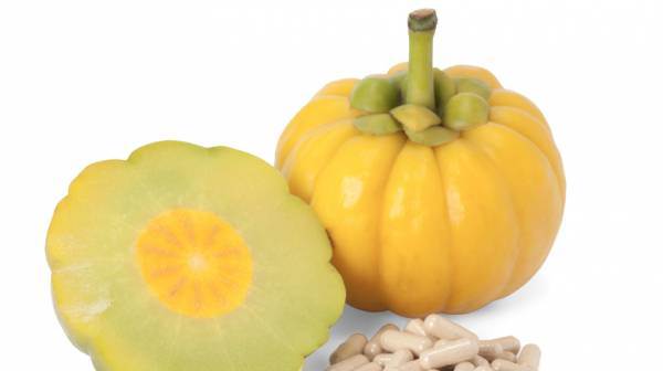 fruits